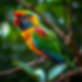 Colorful parrot perched on a branch