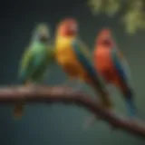 Colorful pet birds perched on a branch