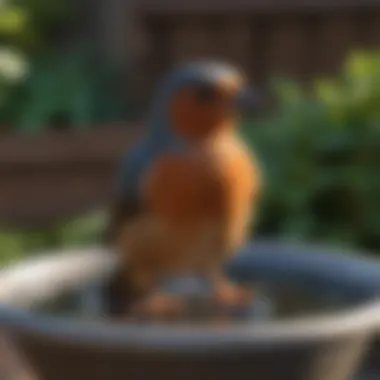 Maintaining a solar bird bath for optimal performance