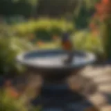 Solar bird bath in a vibrant garden setting