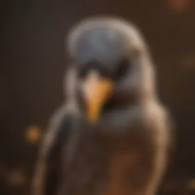 A close-up of a bird engaging in grooming behavior, emphasizing its care routine