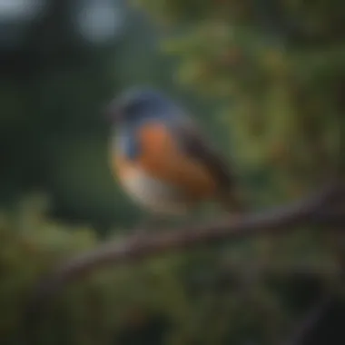 A flock of songbirds exhibiting social behavior on a tree branch