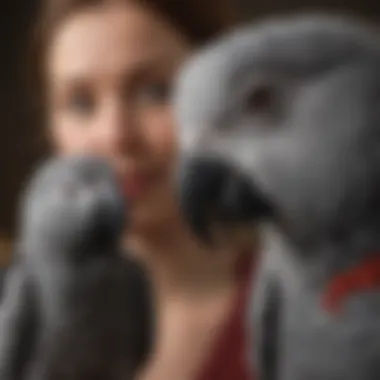 An African Grey parrot interacting joyfully with its owner, reflecting the bond between them.