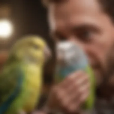 A close-up of a budgie interacting playfully with its owner, highlighting companionship