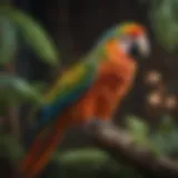 A colorful parrot perched on a branch, showcasing its vibrant feathers