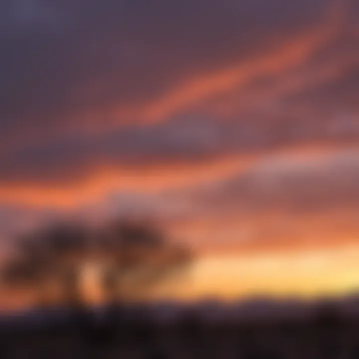 A flock of migratory birds flying over a sunset-lit Southern Nevada sky.