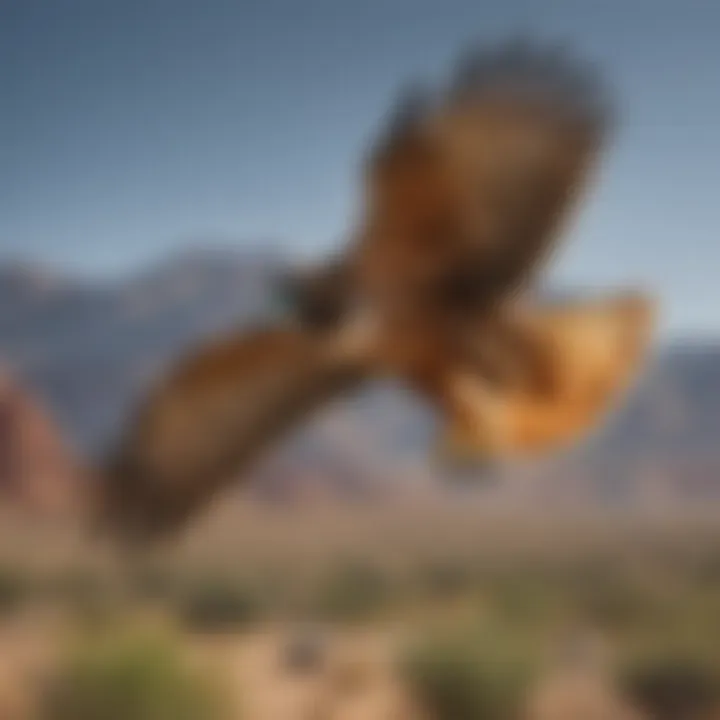 A majestic red-tailed hawk soaring over the desert landscape.