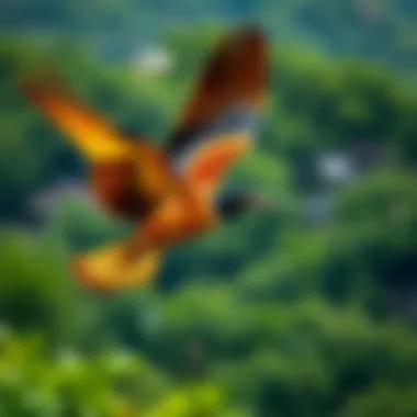 An exotic bird in flight against a scenic backdrop of lush greenery