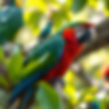 A vibrant parrot perched on a branch showcasing its colorful plumage