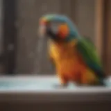 A parrot enjoying a gentle spray of water