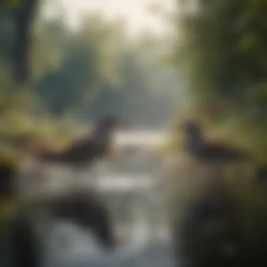 A flock of birds foraging near a water body