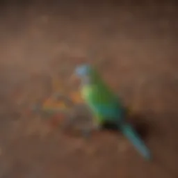 Colorful assortment of premium parakeet pellets