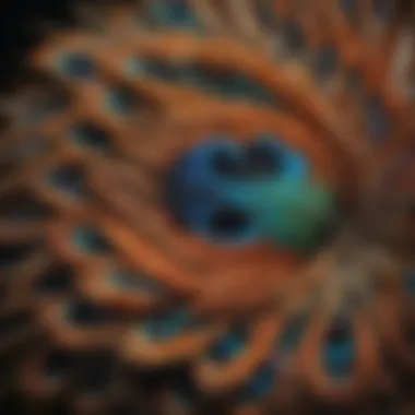 Intricate Bird Plumage Patterns A close-up of a bird's plumage highlighting intricate patterns and hues