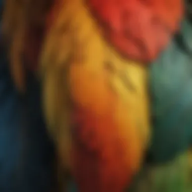 Vibrant Parrot Feathers A vibrant parrot showcasing a spectrum of colors in its feathers