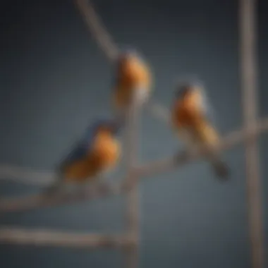 Birds climbing a rope ladder