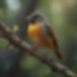 A vibrant songbird perched on a branch, singing melodiously.