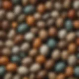Colorful assortment of bird eggs showcasing various patterns and textures