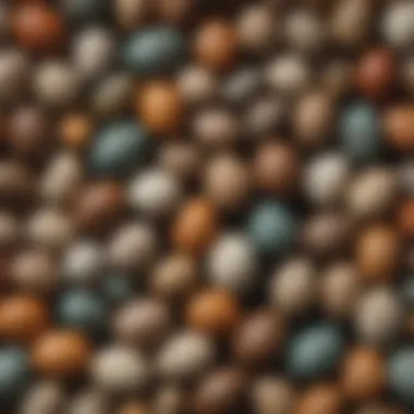 Colorful assortment of bird eggs showcasing various patterns and textures