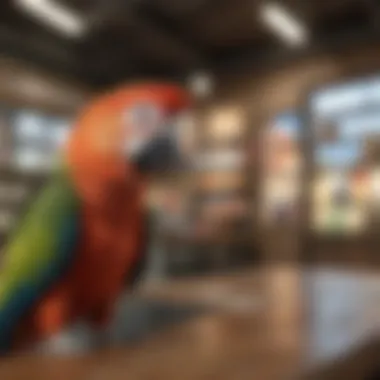 A local pet store with parrot adoption