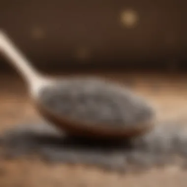 Close-up of chia seeds with a measuring spoon