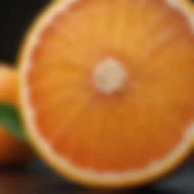 Vibrant Orange Slice for Birds A vibrant orange slice appealing to pet birds