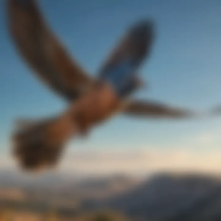 A scenic view of a pet bird in flight against a clear blue sky, showcasing freedom and outdoor adventure