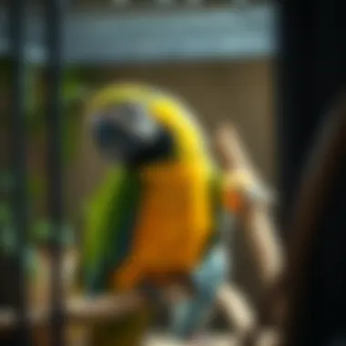 Macaw enjoying a stimulating environment in its cage