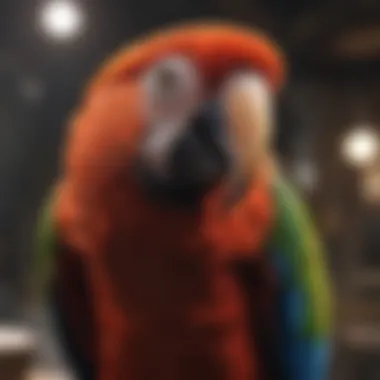 Enrichment Activities for Macaws Macaw enjoying enrichment activities in its cage