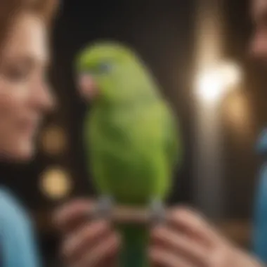 A veterinarian examining a healthy parakeet during a check-up