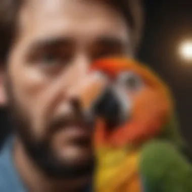 Close-up of a parrot interacting with its owner, highlighting their bond