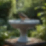 Elegant ceramic bird bath in garden