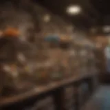 Variety of bird cages displayed in a pet store