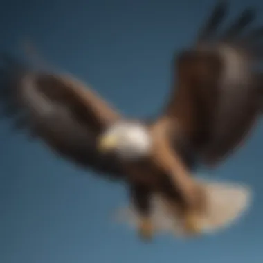 A majestic eagle soaring through a clear blue sky