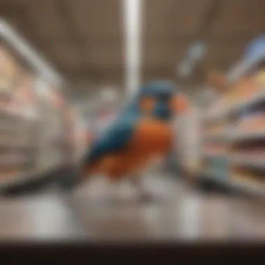 Bird owner shopping in bulk