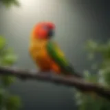 Colorful conure perched on a branch