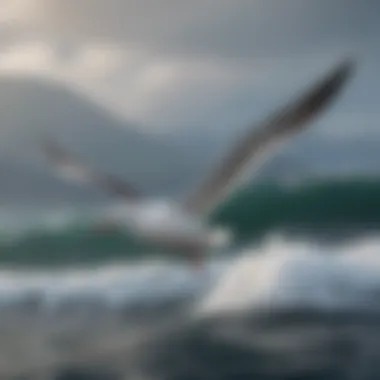 The Graceful Albatross in Flight A majestic albatross soaring over ocean waves.