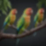 Colorful parakeets perched on a branch