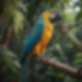 A vibrant Blue-and-yellow Macaw perched on a branch