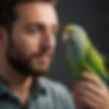 Owner and Parakeet Interaction An engaging visual of a parakeet interacting with its owner in a nurturing environment.