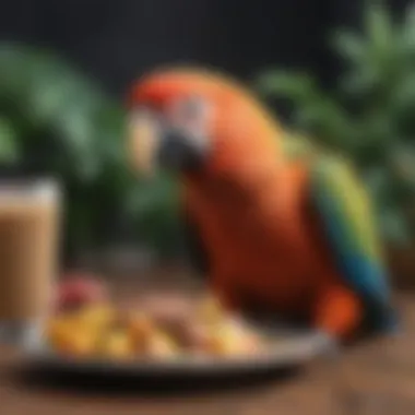 Infographic depicting the nutritional needs of parrots