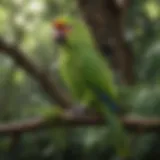 A vibrant green parrot perched on a branch, showcasing its plumage