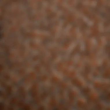 A close-up view of button quail feathers, highlighting their intricate patterns.