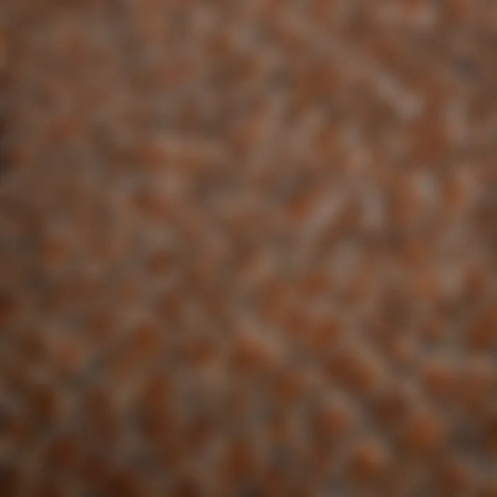 A close-up view of button quail feathers, highlighting their intricate patterns.