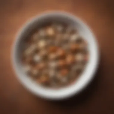 A bowl filled with assorted seeds, representing the nutritional needs of button quail.