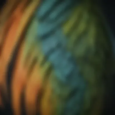 Close-up of a parakeet's feathers showing signs of illness