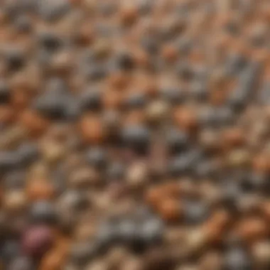Nutrient-Rich Pellets for Avian Health Close-up of high-quality bird pellets showcasing their texture and ingredients.