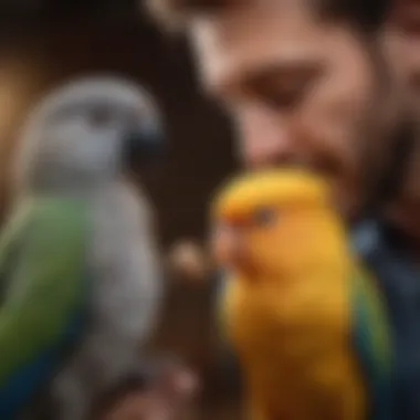 A close-up of a rare pet bird interacting with its owner, emphasizing the bond.