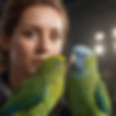 Affectionate Bonding with Parakeets A parakeet snuggled comfortably on a person's shoulder, demonstrating affection.