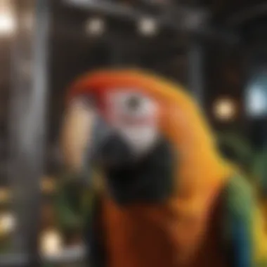 High-quality materials used in a double macaw cage