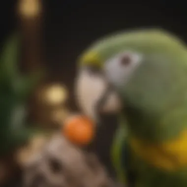 Amazon parrot enjoying a toy for mental stimulation